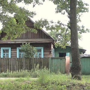 Продается дом в Гомельской области,  г. Добруш 