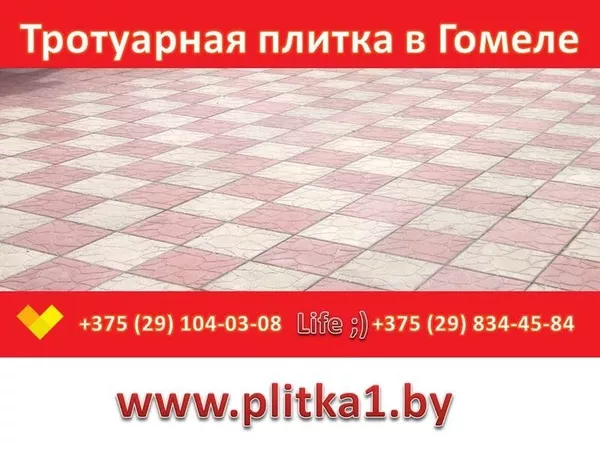 Тротуарная плитка Черепашка в Гомеле купить заказать укладка 6
