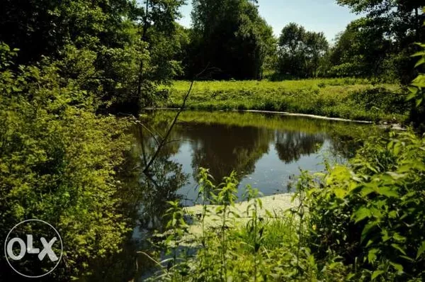 Агроусадьба Бобров Ручей для вашего отдыха под Гомелем 2